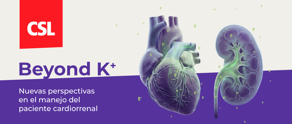 Logo Beyond K+